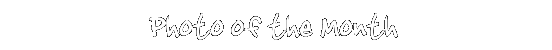 photomonth.gif (1799 bytes)