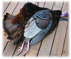 Iowa Trophy Outfitters