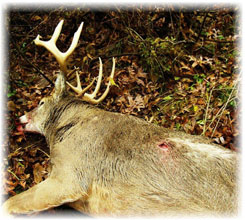 Iowa Trophy Outfitters