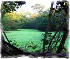 Iowa Trophy Outfitters