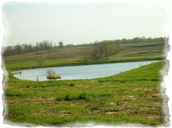 Iowa Trophy Outfitters