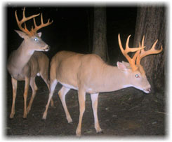 Iowa Trophy Outfitters