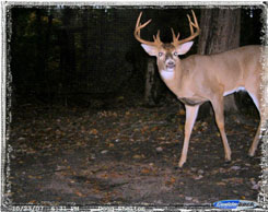 Iowa Trophy Outfitters