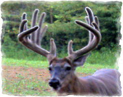 Iowa Trophy Outfitters