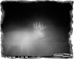 Iowa Trophy Outfitters