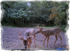 Iowa Trophy Outfitters