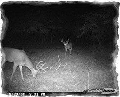 Iowa Trophy Outfitters