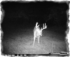 Iowa Trophy Outfitters