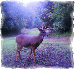 Iowa Trophy Outfitters