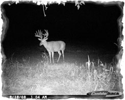 Iowa Trophy Outfitters