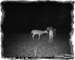 Iowa Trophy Outfitters