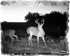 Iowa Trophy Outfitters