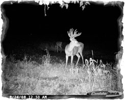 Iowa Trophy Outfitters