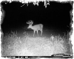 Iowa Trophy Outfitters