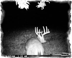 Iowa Trophy Outfitters