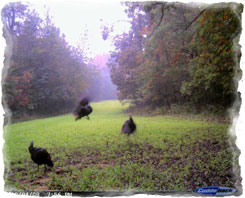 Iowa Trophy Outfitters