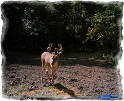Iowa Trophy Outfitters