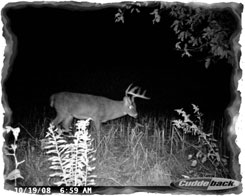 Iowa Trophy Outfitters