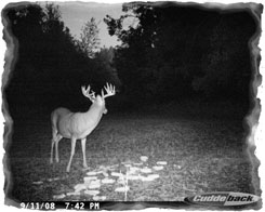 Iowa Trophy Outfitters