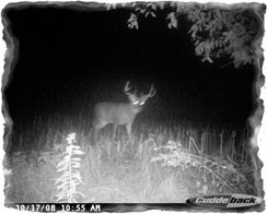 Iowa Trophy Outfitters