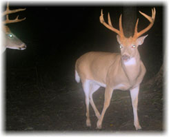 Iowa Trophy Outfitters