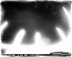 Iowa Trophy Outfitters