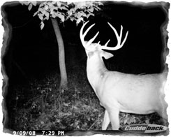 Iowa Trophy Outfitters