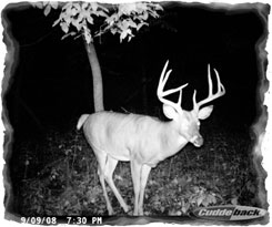 Iowa Trophy Outfitters