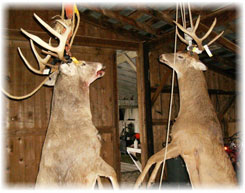 Iowa Trophy Outfitters