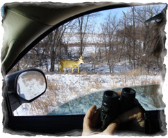 Iowa Trophy Outfitters