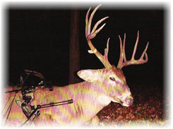 Iowa Trophy Outfitters