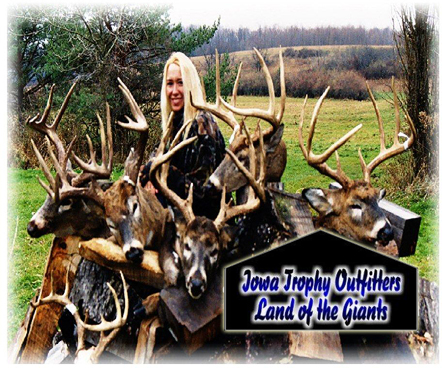 indexcenter1.jpg (64835 bytes)