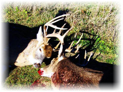 Iowa Trophy Outfitters