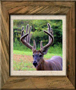 Iowa Trophy Outfitters