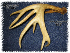 Iowa Trophy Outfitters