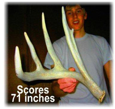 shed.jpg (34141 bytes)