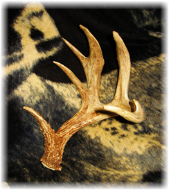 Iowa Trophy Outfitters