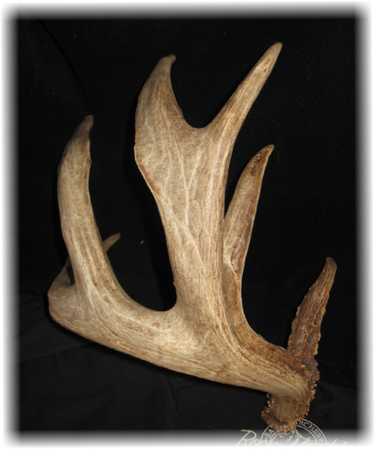 Iowa Trophy Outfitters