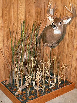 ped-deer.jpg (63816 bytes)